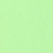fleece LILIGREEN 220g, +-5%